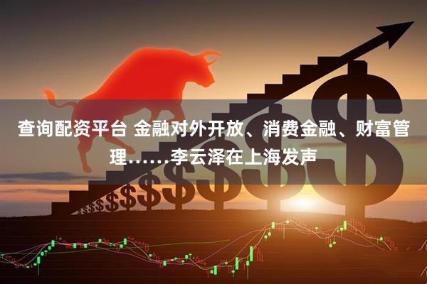 查询配资平台 金融对外开放、消费金融、财富管理……李云泽在上海发声