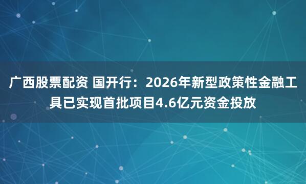 广西股票配资 国开行：2026年新型政策性金融工具已实现首批项目4.6亿元资金投放